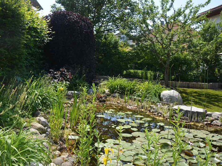 Gestalteter Garten mit Naturteich