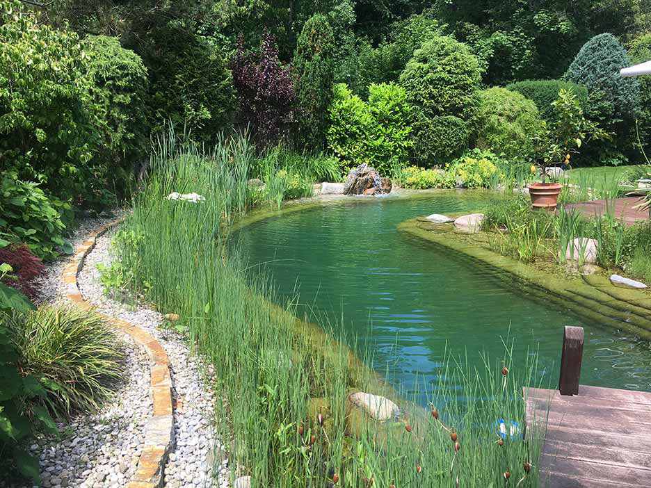 Bio-Pool organische Form