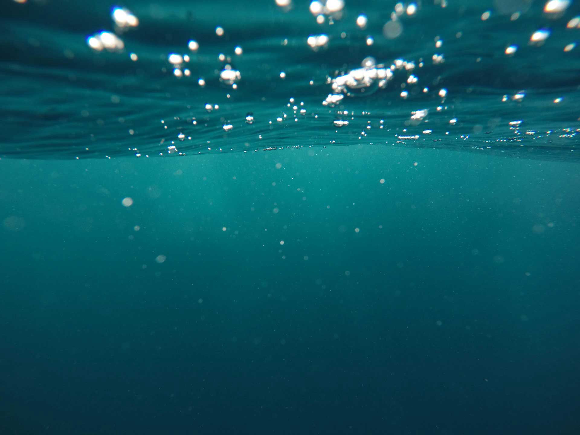 Wasser