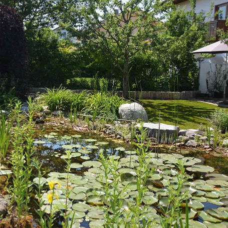 Beispiel Naturteich Typ 1