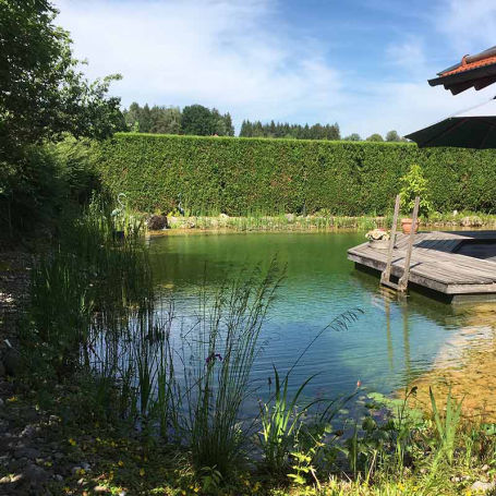 Biopool - Schwimmteich Typ 2