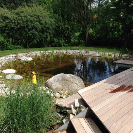 Schwimmteich Kategorie Typ 2