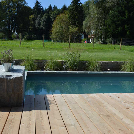 Beispiel für Naturpool der Kategorie 5