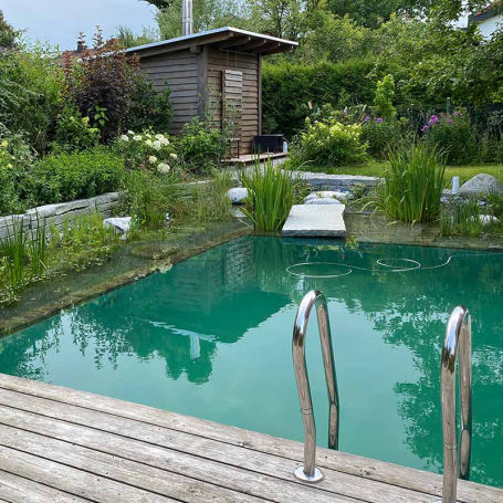 Beispiel für Naturpool Typ 4